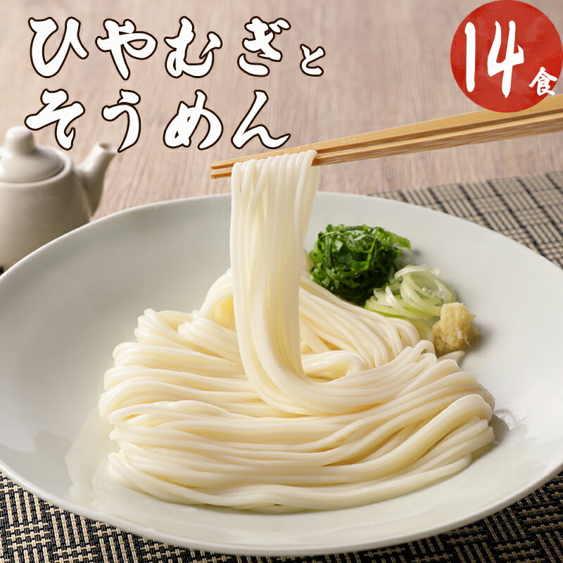 ひやむぎ そうめん 堪能 セット 5袋 まっすぐ麺 曲がり麺 送料無料 y12-25