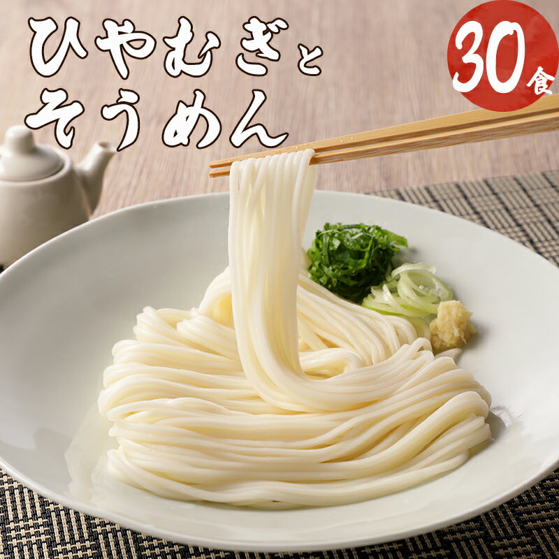 【ふるさと納税】 麺 ひやむぎ そうめん 堪能 セット 10