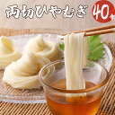 【ふるさと納税】 麺 冷麦 両切 たっぷり セット 20袋 