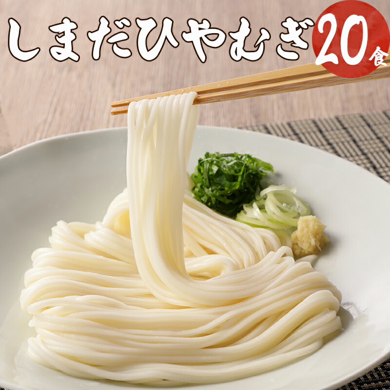 【ふるさと納税】 麺 曲がり麺 しま