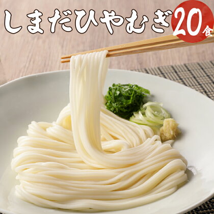 麺 曲がり麺 しまだ麺 冷麦 5袋 20食 送料無料 y12-166