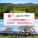 【ふるさと納税】 ゴルフ 八百津町 割引券 選べる 3,000円分 15,000円分 30,000円分 90,000円分 150,000円分 300,000円分 趣味 娯楽 さくらカントリークラブ 送料無料 y6-13|詳細画像