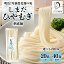 【ふるさと納税】 麺 曲がり麺 しまだ麺 冷麦 選べる 5袋 20食 10袋 40食 送料無料 y12-166|詳細画像