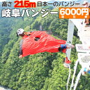 【ふるさと納税】 日本一 バンジージャンプ 高さ215m 体験割引チケット 6,000円分 岐阜バンジー y66-209 1