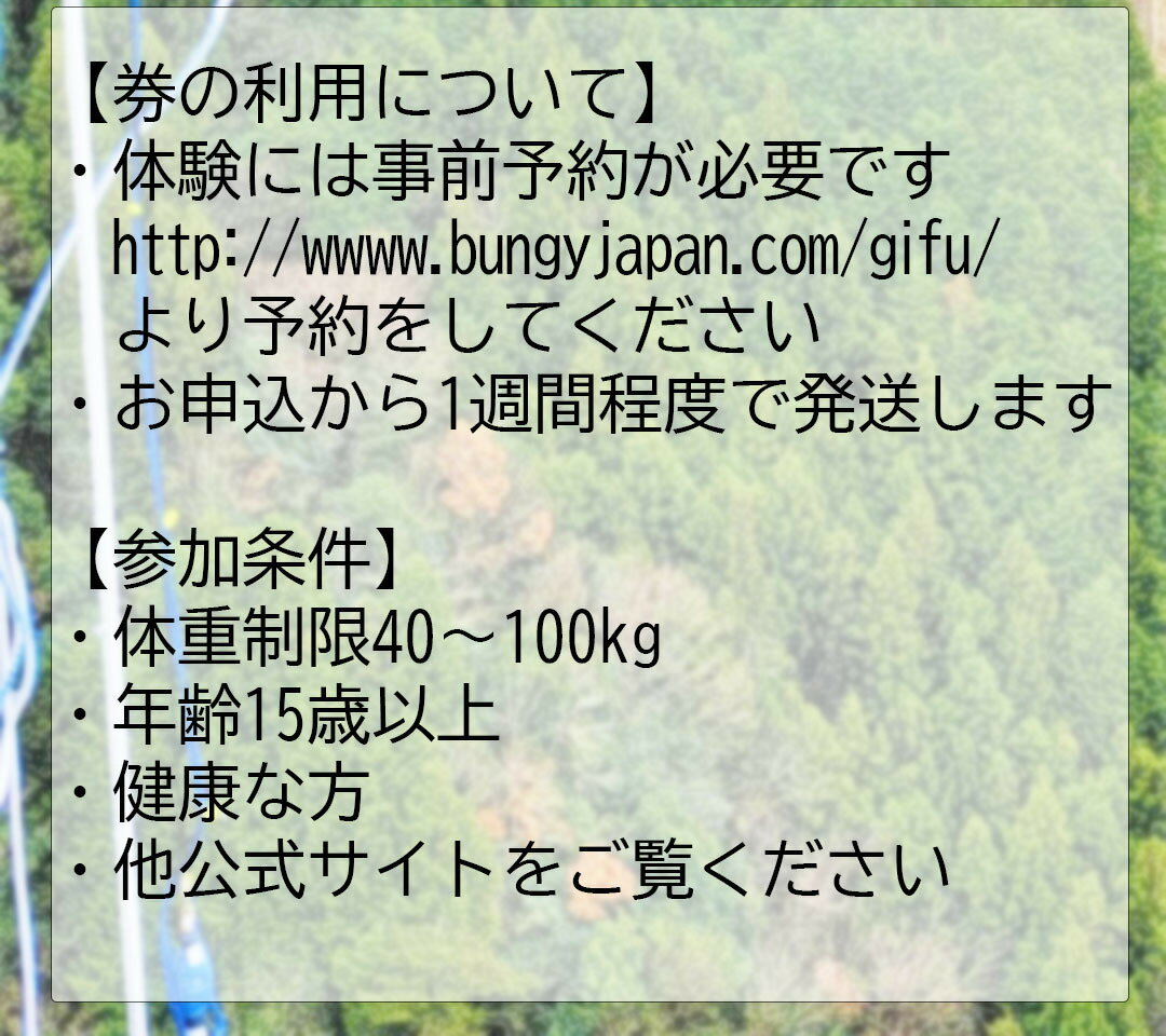 【ふるさと納税】 日本一 バンジージャンプ 高さ215m 体験チケット 1名様 岐阜バンジー y66-207 3