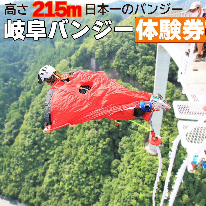 【ふるさと納税】 日本一 バンジージャンプ 高さ215m 体験チケット 1名様 岐阜バンジー y66-207 1