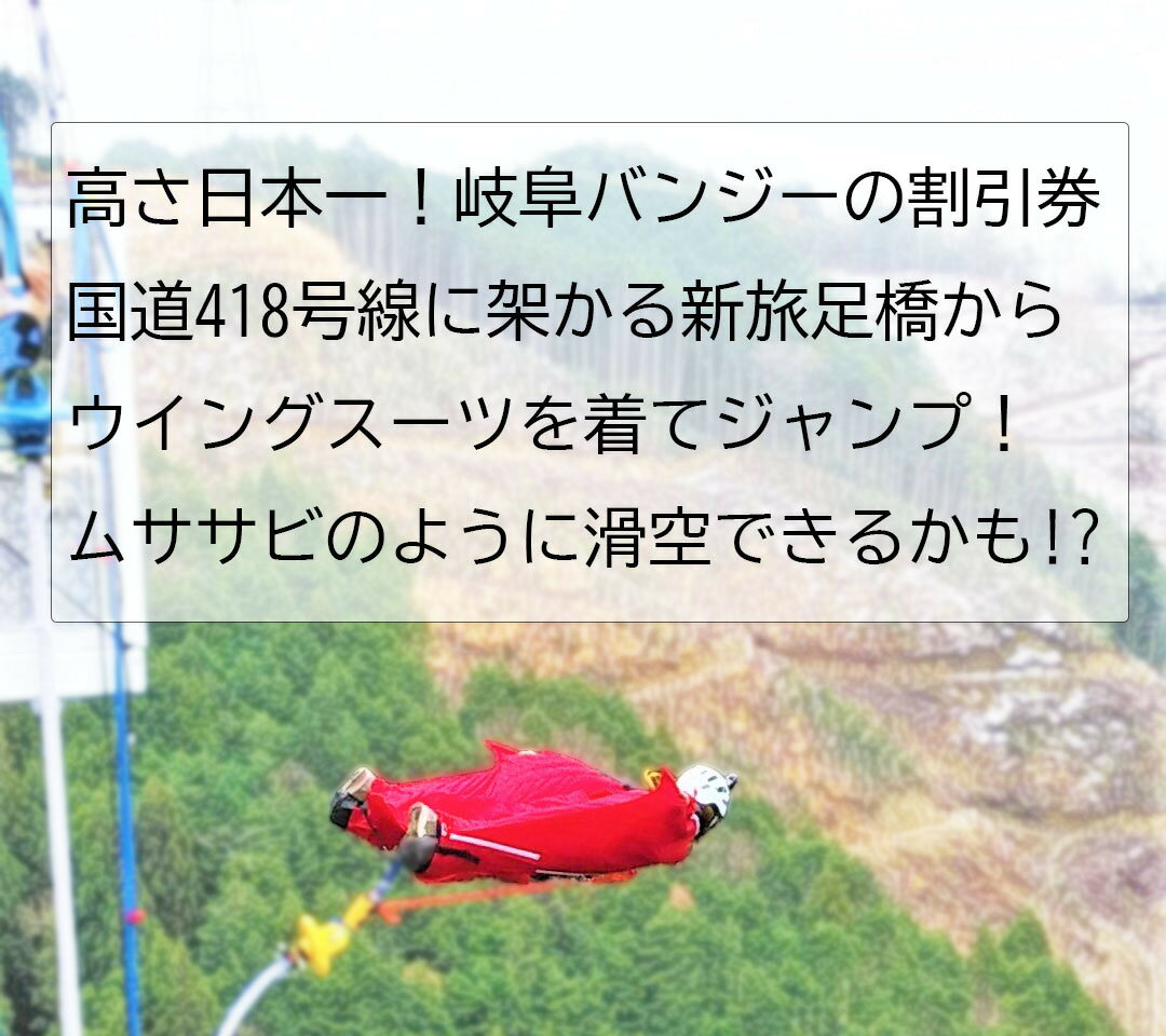 【ふるさと納税】 日本一 バンジージャンプ 高さ215m 体験割引チケット 9,000円分 岐阜バンジー y66-210