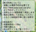 【ふるさと納税】 日本一 バンジージャンプ 高さ215m 体験割引チケット 6,000円分 岐阜バンジー y66-209 3
