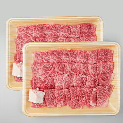 【ふるさと納税】飛騨牛　焼肉用　もも・かた肉600g（300g×2） 画像1