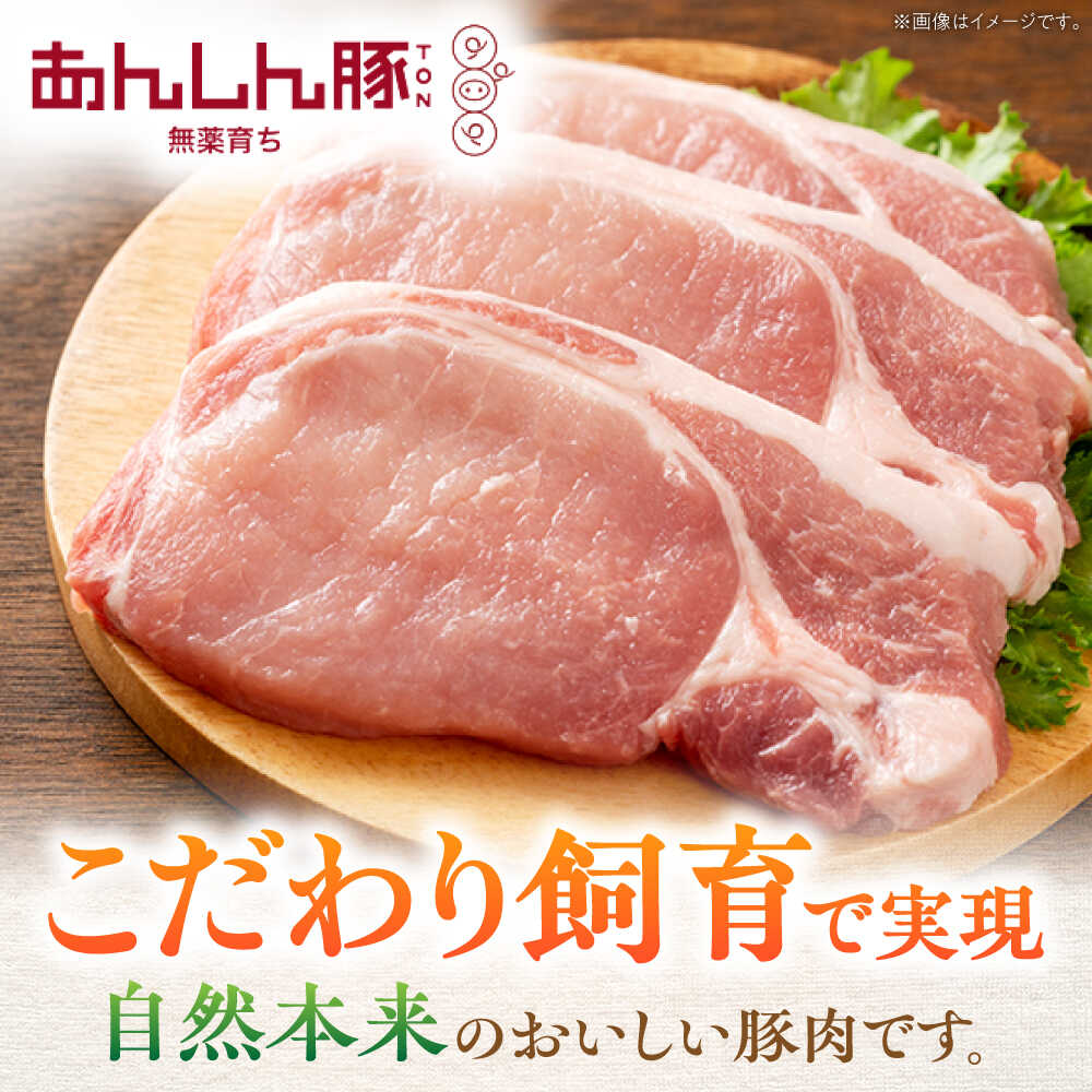 【ふるさと納税】【2025年12月21日までのご入金で、年内発送】★5人に2人がリピーター★｜あんしん豚 スペアリブ 1.5kg 国産 豚肉 小分け 冷凍 / 岐阜県白川町産 藤井ファーム BBQ バーベキュー キャンプ [AWAF004] 豚肉 スペアリブ 骨付き 骨付き肉 ふるさと納税 ブロック肉