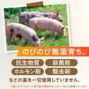 岐阜県白川町の画像3