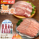 岐阜県白川町の画像1