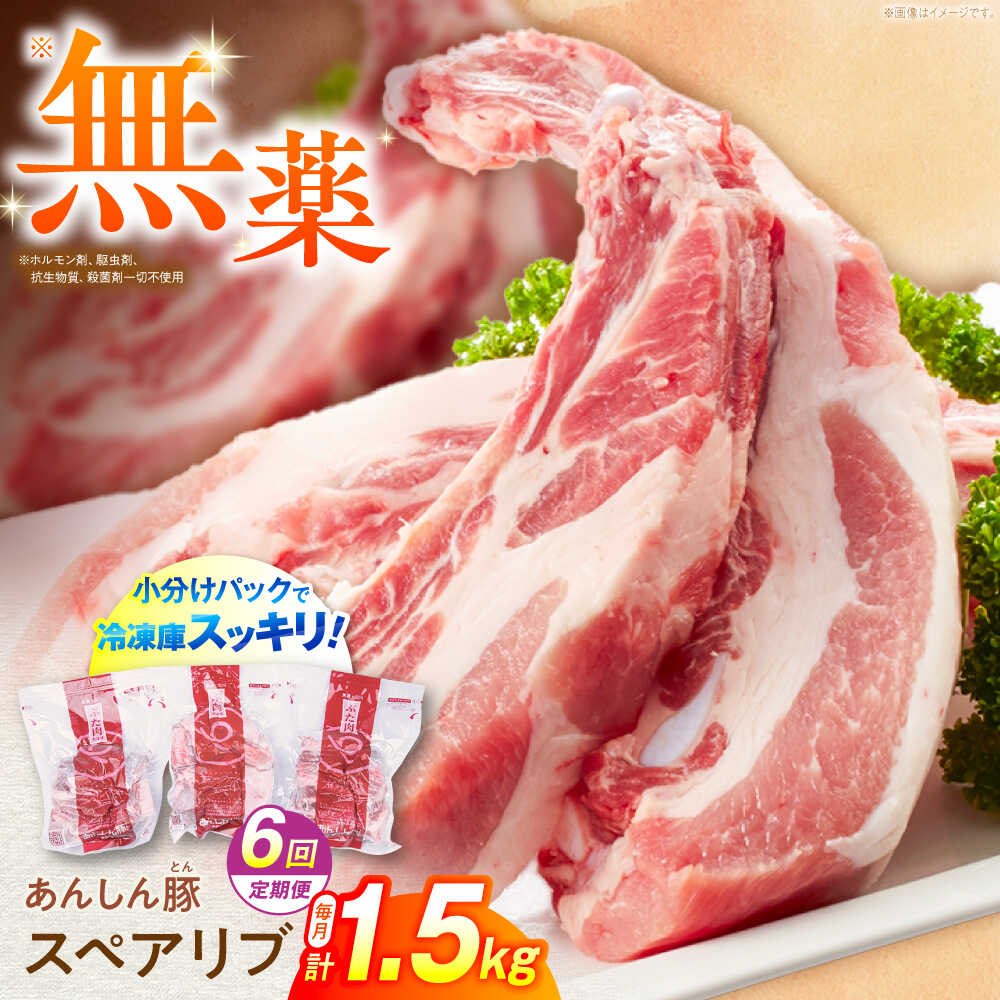 【ふるさと納税】【6回定期便】あんしん豚 スペアリブ 1.5kg 豚肉 小分け 国産 白川町 / 藤井ファーム[AWAF017] BBQ バーベキュー キャンプ 豚肉 スペアリブ 骨付き 骨付き肉 ふるさと納税 ブロック肉 煮込み 国産 ステーキ ポーク ジューシー 焼肉 焼き肉 真空パック 料理