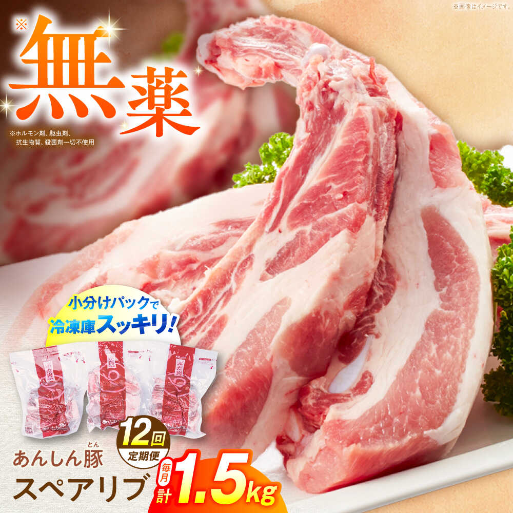 【ふるさと納税】【12回定期便】あんしん豚 スペアリブ 1.5kg 豚肉 小分け 国産 白川町 / 藤井ファーム[AWAF018] BBQ バーベキュー キャンプ 豚肉 スペアリブ 骨付き 骨付き肉 ふるさと納税 ブロック肉 煮込み 国産 ステーキ ポーク ジューシー 焼肉 焼き肉 真空パック 料理