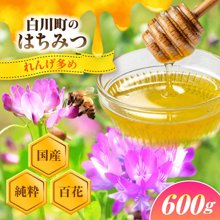 純粋百花はちみつ 600g×1本 はちみつ 蜂蜜 ハチミツ ハニー 国産 白川町 / 白川町農業開発[AWAH007]