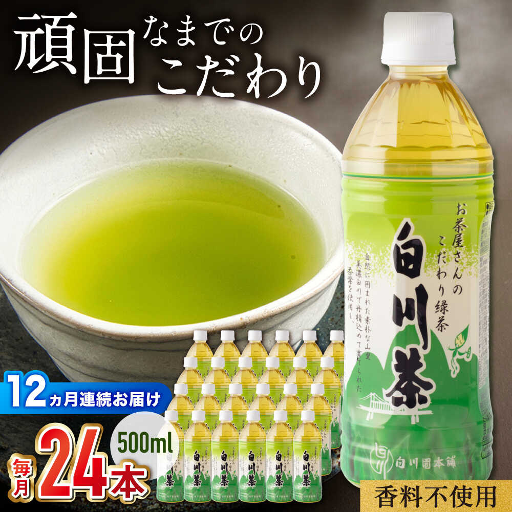 【ふるさと納税】【12回定期便】 白川茶ペットボトル 500ml×24本入 緑茶 お茶 ペットボトル 500ml ケー..