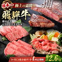 【ふるさと納税】【4回定期便】 特選 飛騨牛 肩ロース リブロースステーキ 総計2.6kg しゃぶしゃぶ 焼肉 すき焼き / 牛肉 飛騨牛 和牛 / 白川町 /...