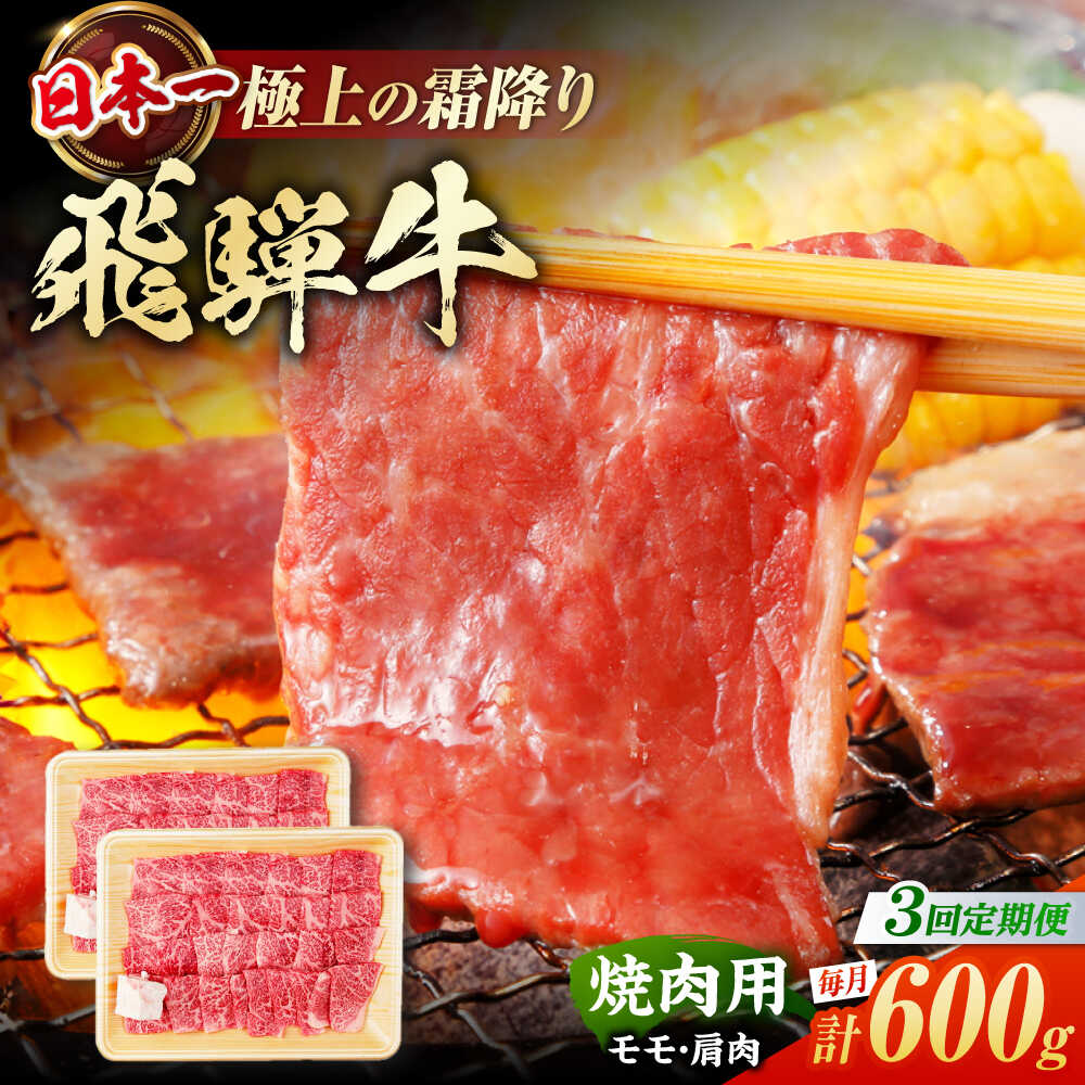 [3回定期便] 飛騨牛 焼肉用 赤身 600g(300g×2)/ 焼肉 牛肉 和牛 定期便 肉 / 白川町 / 浅井商店[AWBJ012]