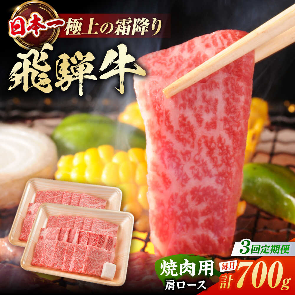 [3回定期便] 飛騨牛 焼肉用 肩ロース 700g(350g×2)/ 焼肉 牛肉 和牛 定期便 霜降り / 白川町 / 浅井商店[AWBJ015]