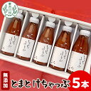 【ふるさと納税】無添加 桃太郎トマトの トマトケチャップ 5本セット トマト 野菜 ケチャップ けちゃっぷ 調味料 ソース パスタ 東白川村 楽天スーパーセール マラソン 10500円