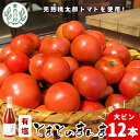 有塩 とまとのまんま 大ビン 12本 720ml トマトジュース 桃太郎 トマト 無添加 野菜ジュース 野菜 トマト100% リコピン 完熟トマト 濃厚 東白川村 30000円