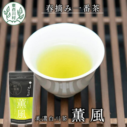 白川茶 茶蔵園 上煎茶 「薫風-くんぷう-」 煎茶 お茶 緑茶 日本茶 茶葉 国産 一番茶 上煎茶 東白川村 3000円