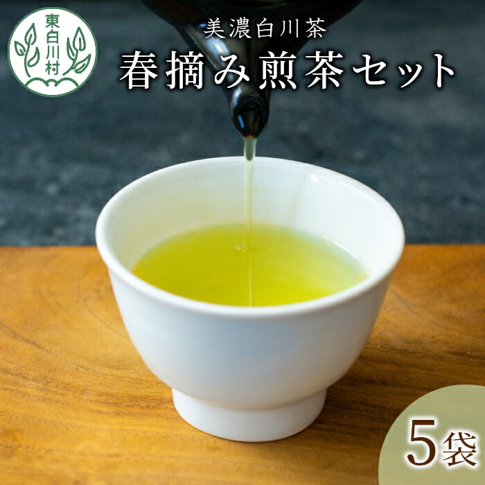 【ふるさと納税】茶蔵園 春摘み煎茶セット (5袋入) お茶 日本茶 緑茶 煎茶 一番茶 高級 特上 東白川村 岐阜 特選 詰め合わせ 25000円