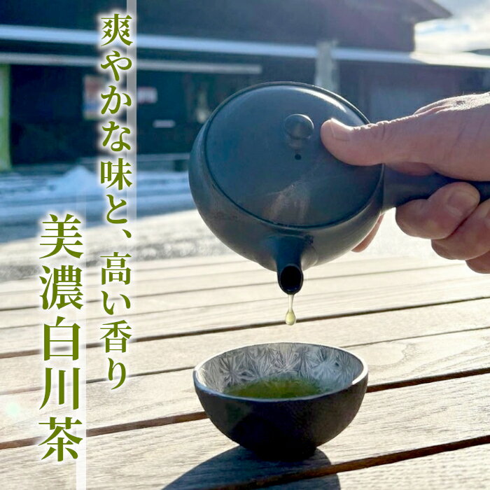 【ふるさと納税】 香りと味の調和 特選煎茶「清流-せいりゅう-」お試し1袋 80g 茶蔵園 緑茶 日本茶 煎茶 茶葉 お茶 東白川村 4000円