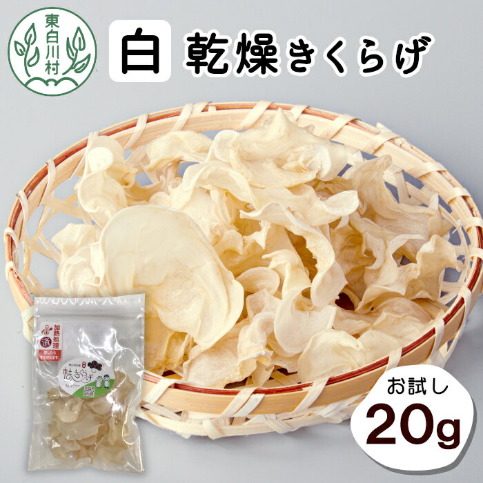 東白川村産 乾燥 白いきくらげ ホール お試し20g 純国産 きのこ 乾燥きくらげ きくらげ 白いきくらげ キクラゲ 木耳 希少 高級 ビタミンD 食物繊維 3000円