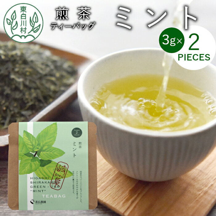 【ふるさと納税】煎茶ティーバッグ ミント 1袋 6g 3g×2個 東白川村産 岐阜県産 煎茶 上煎茶 ミント ティーバッグ お茶 日本茶 ティーバック ティーパック ホット アイス おためし 1000円 1000円ポッキリ お買い物マラソン 買い回り･･･