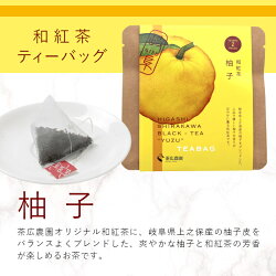 【ふるさと納税】和紅茶ティーバッグ ゆず 1袋 6g 3g×2個 東白川村産 岐阜県産 特選 和紅茶 紅茶 柚子 ティーバッグ お茶 ティーバック ティーパック ホット アイス おためし 1000円 1000円ポッキリ お買い物マラソン 買い回り･･･ 画像1