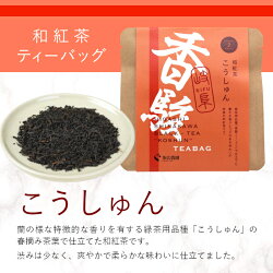 【ふるさと納税】和紅茶ティーバッグ こうしゅん 1袋 6g 3g×2個 東白川村産 岐阜県産 特選 和紅茶 紅茶 ティーバッグ お茶 ティーバック ティーパック ホット アイス おためし 1000円 1000円ポッキリ お買い物マラソン 買い回り･･･ 画像1