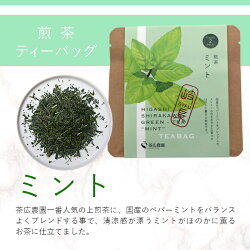 【ふるさと納税】煎茶ティーバッグ ミント 1袋 6g 3g×2個 東白川村産 岐阜県産 煎茶 上煎茶 ミント ティーバッグ お茶 日本茶 ティーバック ティーパック ホット アイス おためし 1000円 1000円ポッキリ お買い物マラソン 買い回り･･･ 画像1