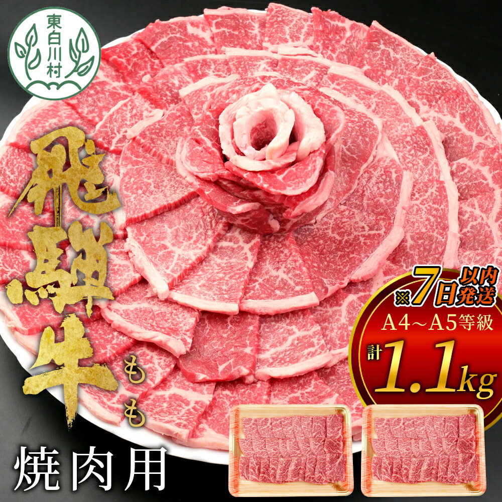 [7営業日以内に発送] 飛騨牛 もも 焼肉用 1.1kg 550g×2 A5 A4 国産 牛 冷凍 和牛 牛肉 もも肉 モモ 焼き肉 やきにく 赤身 ギフト 贈答 おすすめ BBQ バーベキュー キャンプ にく お肉 肉 東白川村 岐阜 飛騨 贅沢 霜降り [ 肉のひぐち ] 30000円 三万円