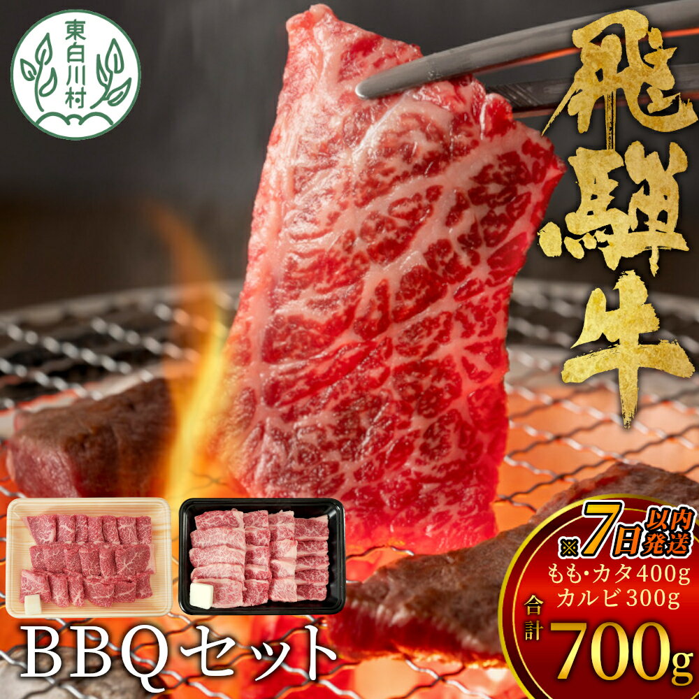 [7営業日以内に発送] 飛騨牛 BBQセット (カルビ300g+もも・カタ焼肉用400g) 計700g A5 A4 国産 牛 冷凍 和牛 牛肉 カルビ もも モモ カタ 肩 かた 豪華 ギフト 贈答 にく お肉 肉 東白川村 岐阜 飛騨 贅沢 霜降り 赤身 [ 肉のひぐち ] 20000円 二万円