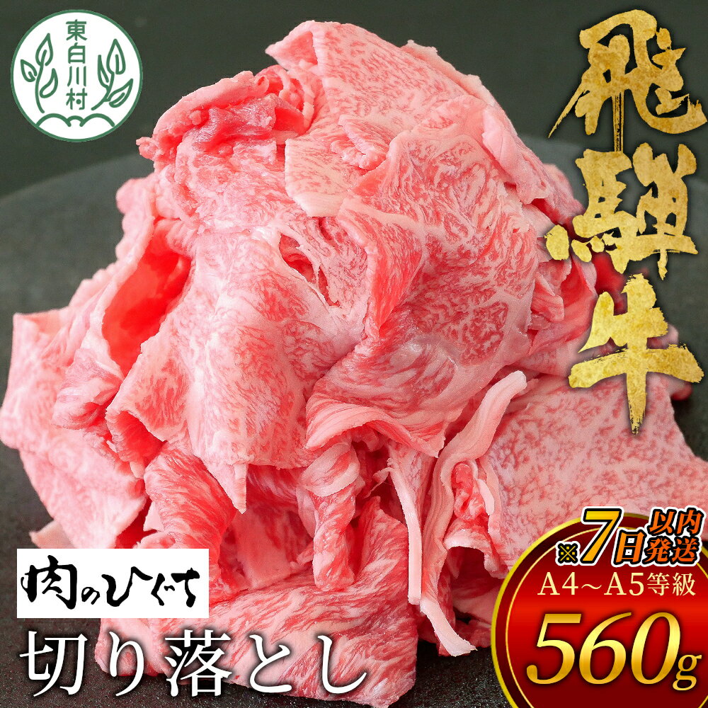 [7営業日以内に発送] 飛騨牛 切り落とし 560g A5 A4 国産 牛 冷凍 お試し 和牛 牛肉 切落し 切り落し 薄切り 訳あり 牛丼 すき焼き しゃぶしゃぶ 東白川村 岐阜 飛騨 贅沢 霜降り ロース バラ もも ウデ [ 肉のひぐち ] 10000円 一万円 ふるさと納税