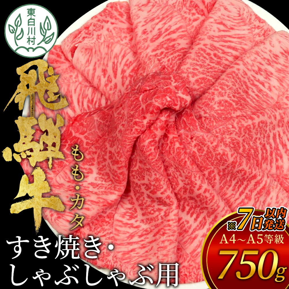 【7営業日以内に発送】 飛騨牛 もも カタ 750g すき焼き しゃぶしゃぶ A5 A4 国産 牛 冷凍 和牛 牛肉 かた カタロース 肩ロース もも肉 かた 赤身 ギフト 贈答 にく お肉 肉 東白川村 岐阜 飛騨 贅沢 霜降り 【 肉のひぐち 】 20000円