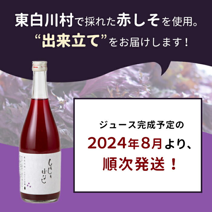 【ふるさと納税】【2024年8月より順次発送】東白川村産赤しそ使用！ しそしそばなし 2本 720ml しそジュース 紫蘇 赤しそ 紫蘇ジュース ジュース 飲料 飲み物 赤しそ 赤紫蘇 つちのこの村 6000円