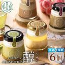【ふるさと納税】食べるお茶スイーツ 東白茶寮プリン 「醇」 6種 6個セット 煎茶プリン ほうじ茶プリン 和紅茶 柚子ジュレ ティラミス ショコラ チョコ プリン 贈り物 東白川村 美濃白川茶 煎茶 ほうじ茶 日本茶 緑茶 お茶 贅沢 お取り寄せ 冷凍 冷蔵 選べる 10000円(4)