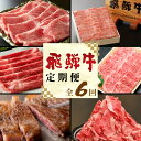 【ふるさと納税】発送月が選べる! 飛騨牛 定期便 全6回 A5等級すき焼き しゃぶしゃぶ ステーキ 焼肉 BBQ ロース カタロース ロースステーキ サーロイン...