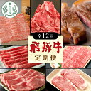 【ふるさと納税】飛騨牛 定期便 全12回 A5等級すき焼き しゃぶしゃぶ ステーキ 焼肉 BBQ ロース カタロース ロースステーキ サーロインステーキ モモ ...
