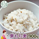 【ふるさと納税】【令和7年度産】 東白川村産 紫もち麦 ダイシモチ 900g 1袋 もち麦 食物繊維 麦 雑穀 お米 こめ 精米 ご飯 おためし 5000円 お...