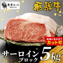 【ふるさと納税】お好きなカット可能!飛騨牛 サーロインブロック 5kg 牛肉 和牛 肉 塊肉 サーロイン ステーキ すき焼き しゃぶしゃぶ 赤身 肉 牛 牛肉 ...