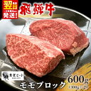 【ふるさと納税】 最速発送 飛騨牛 モモブロック 600g 300g×2 牛肉 和牛 肉 ローストビーフ 焼肉 ステーキ 赤身 赤身肉 牛 鉄板焼き お祝い 贈...