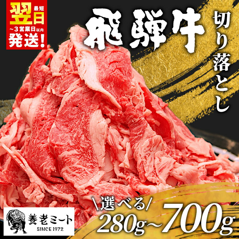 最速発送 飛騨牛 切り落とし 280～700g 黒毛和牛 牛肉 和牛 肉 お肉 切落し きりおとし 不揃い 赤身 脂身 霜降り にく 切り落し 岐阜県 ブランド...