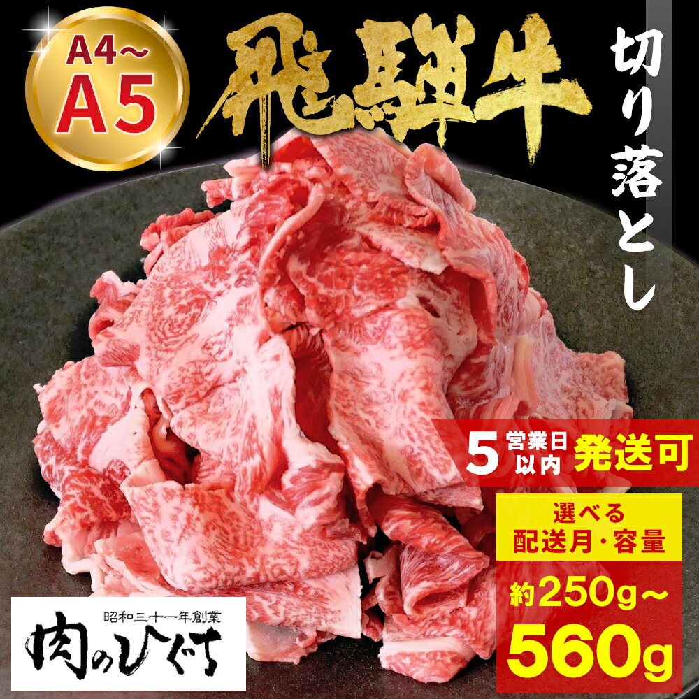 [発送時期が選べる] 最速発送 飛騨牛 切り落とし 250g 560g A5 A4 国産 牛 冷凍 お試し 和牛 黒毛和牛 牛肉 切落し 切り落し 訳あり 牛丼 すき焼き しゃぶしゃぶ 岐阜 飛騨 ロース バラ もも ウデ 肉のひぐち 5000円 10000円 一万円 楽天スーパーセール