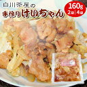 【ふるさと納税】けいちゃん 2袋 4袋 手作り 郷土料理 鶏肉 もも肉 むね肉 ひね肉 親鶏 親鳥 味付け肉 味付き ごはんとおとも タレ おかず 簡単おかず ...