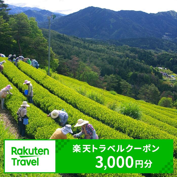 【ふるさと納税】岐阜県東白川村の対象施設で使える楽天トラベルクーポン 寄付額10,000円