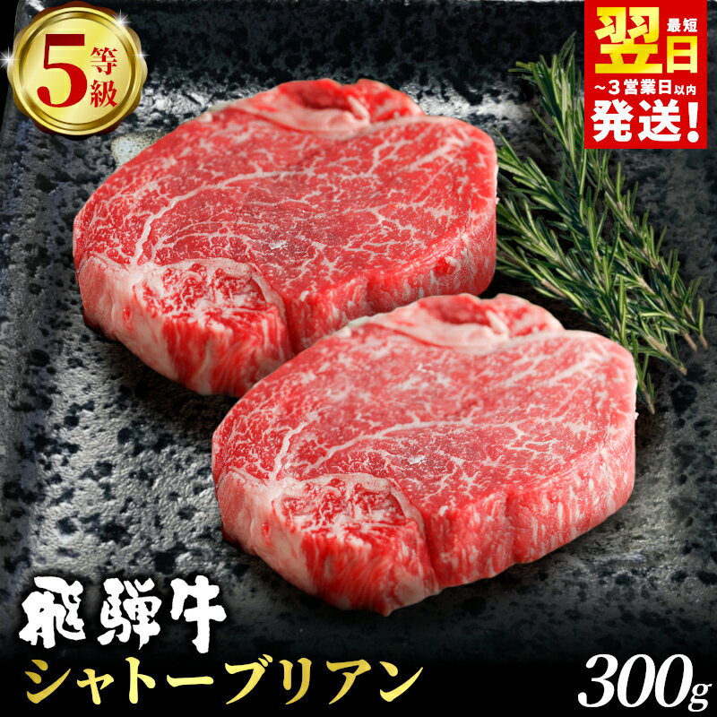 飛騨牛 最高5等級 シャトーブリアン ステーキ用 300g(150g×2枚) 牛肉 和牛 肉 ステーキ ヒレ フィレ 最高級部位 赤身 肉 牛 牛肉 鉄板焼き お祝い 贈答 ギフト 贈り物 ふるさと納税 東白川村 岐阜 贅沢 霜降り 養老ミート