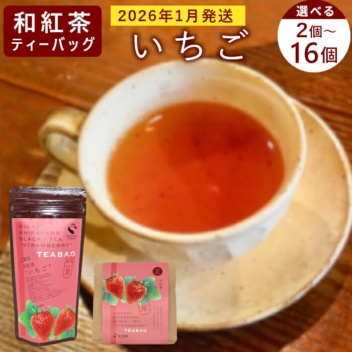 和紅茶ティーバッグ いちご 1袋 5g 2.5g×2個 東白川村産 岐阜県産 和紅茶 紅茶 ティー ティーバッグ お茶 ティーバック ティーパック ホット アイス おためし お試し 1000円 1000円ポッキリ お買い物マラソン 買い回り [先行受付品/2026年1月発送予定]